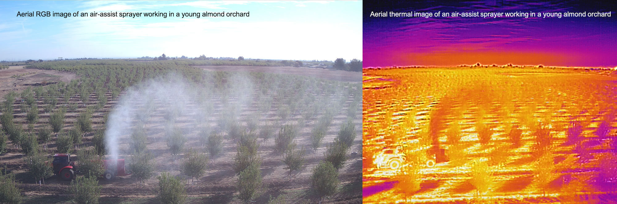 Aerial view of a an air-assist sprayer working in a young almond orchard
