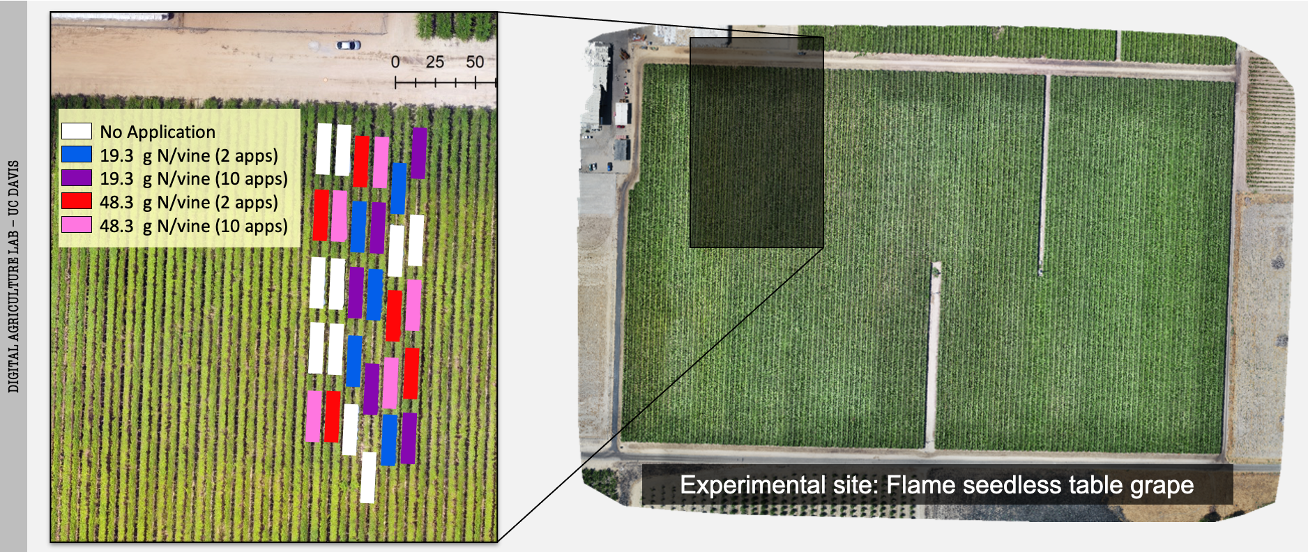 Experimental site selma digital ag lab uc davis grape n