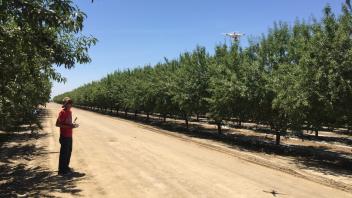 Flight over an almond orchard with DJI Phantom 4