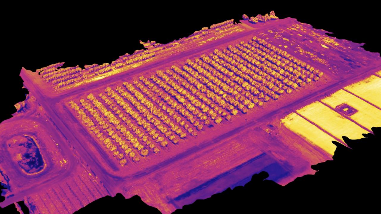 A Near Infrared (NIR) 3D model of an Almond orchard in Kearney Research and Extension Center, California Virtual Orchard Almond NIR Near Infrared Alireza Pourreza