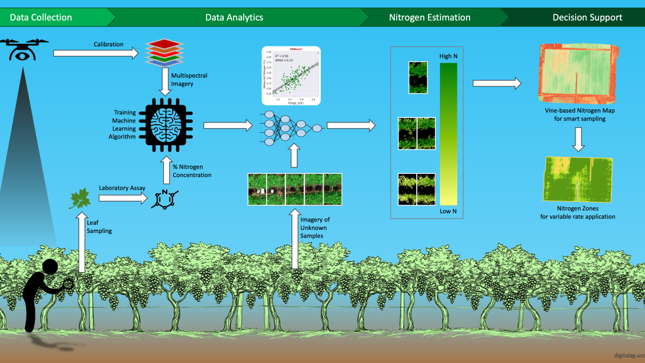 Webinar Vineyard monitoring with remote sensing data for