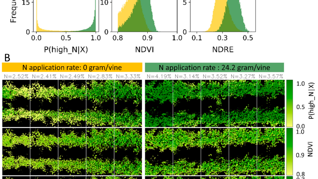 Comparison of NDVA, NDRE and a novel method fo N estimation in vine